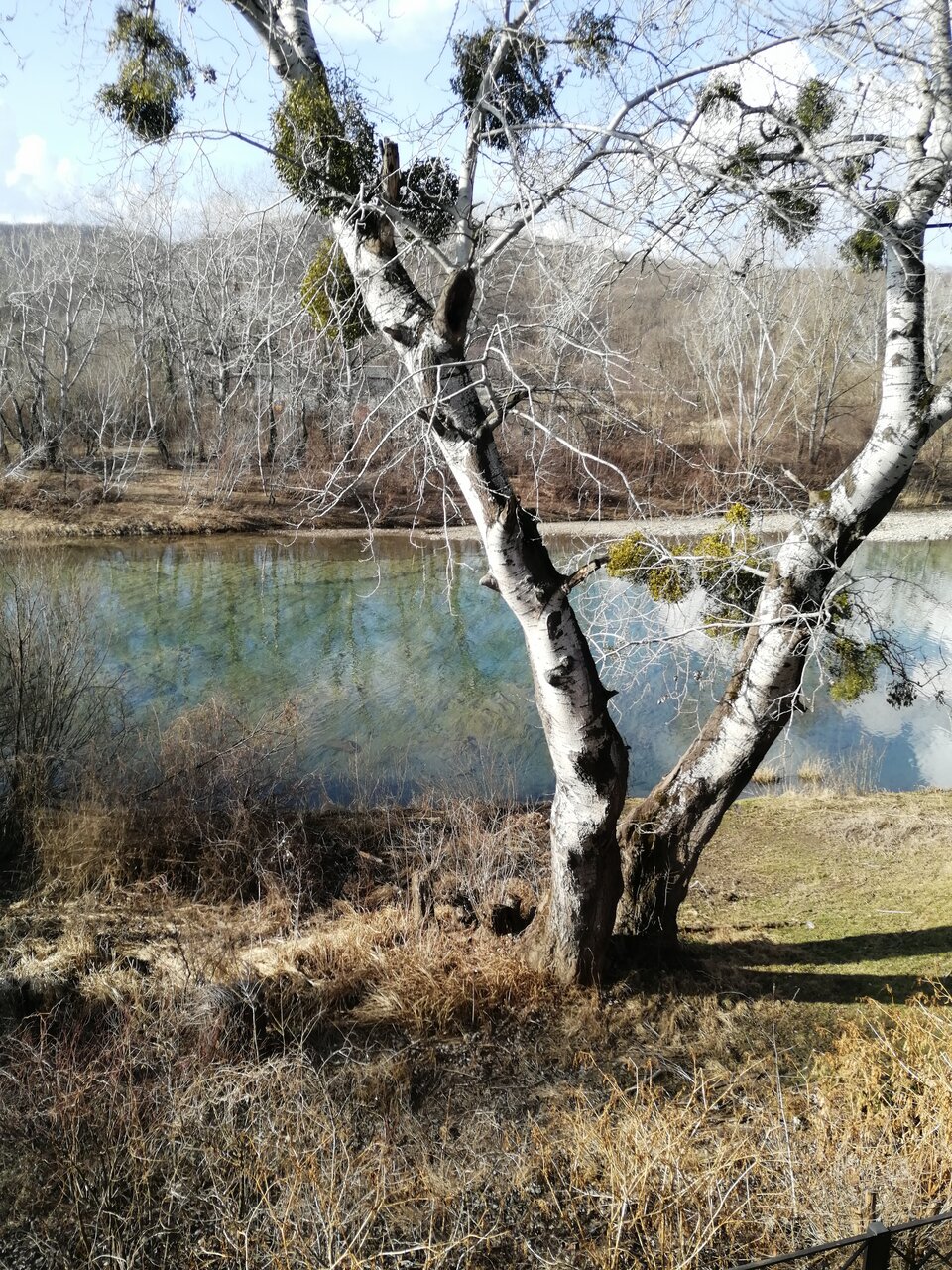 Гостиница Аллюр Горячий Ключ-83