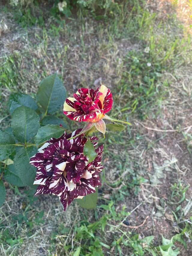 Гостиница Аллюр Горячий Ключ-38