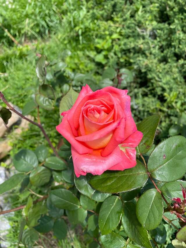 Гостиница Аллюр Горячий Ключ-42